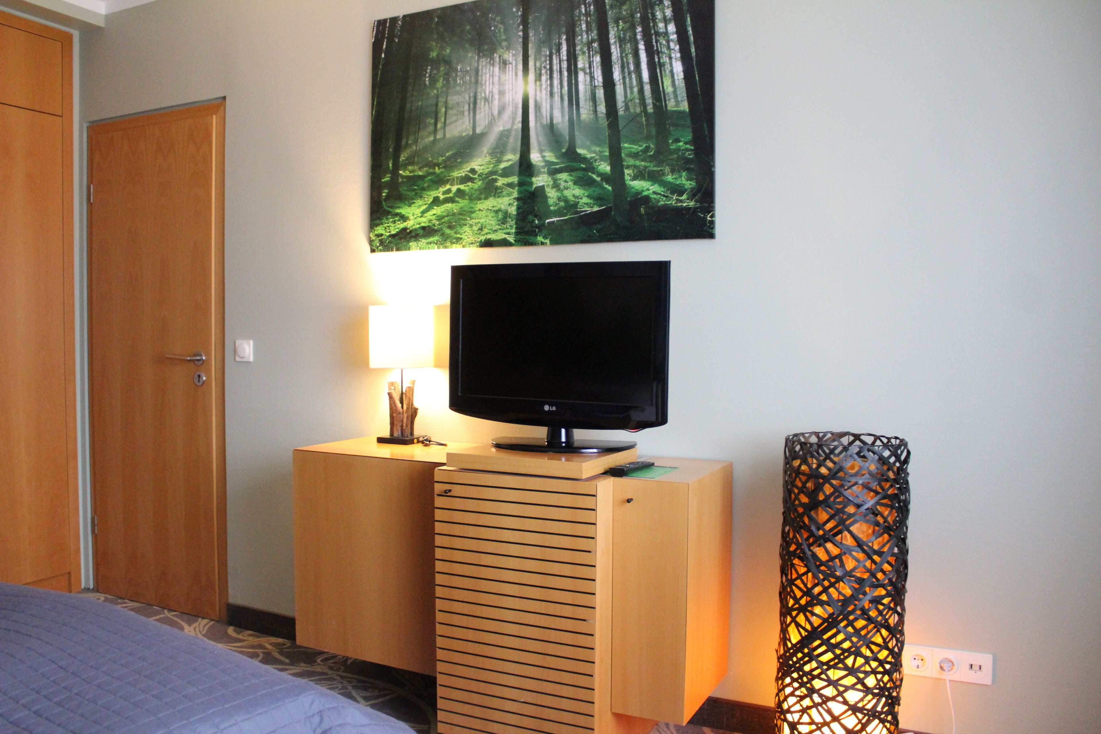 Une chambre d’hôtel avec un lit, un téléviseur posé sur une commode en bois, un tableau représentant une forêt et une lampe décorative.