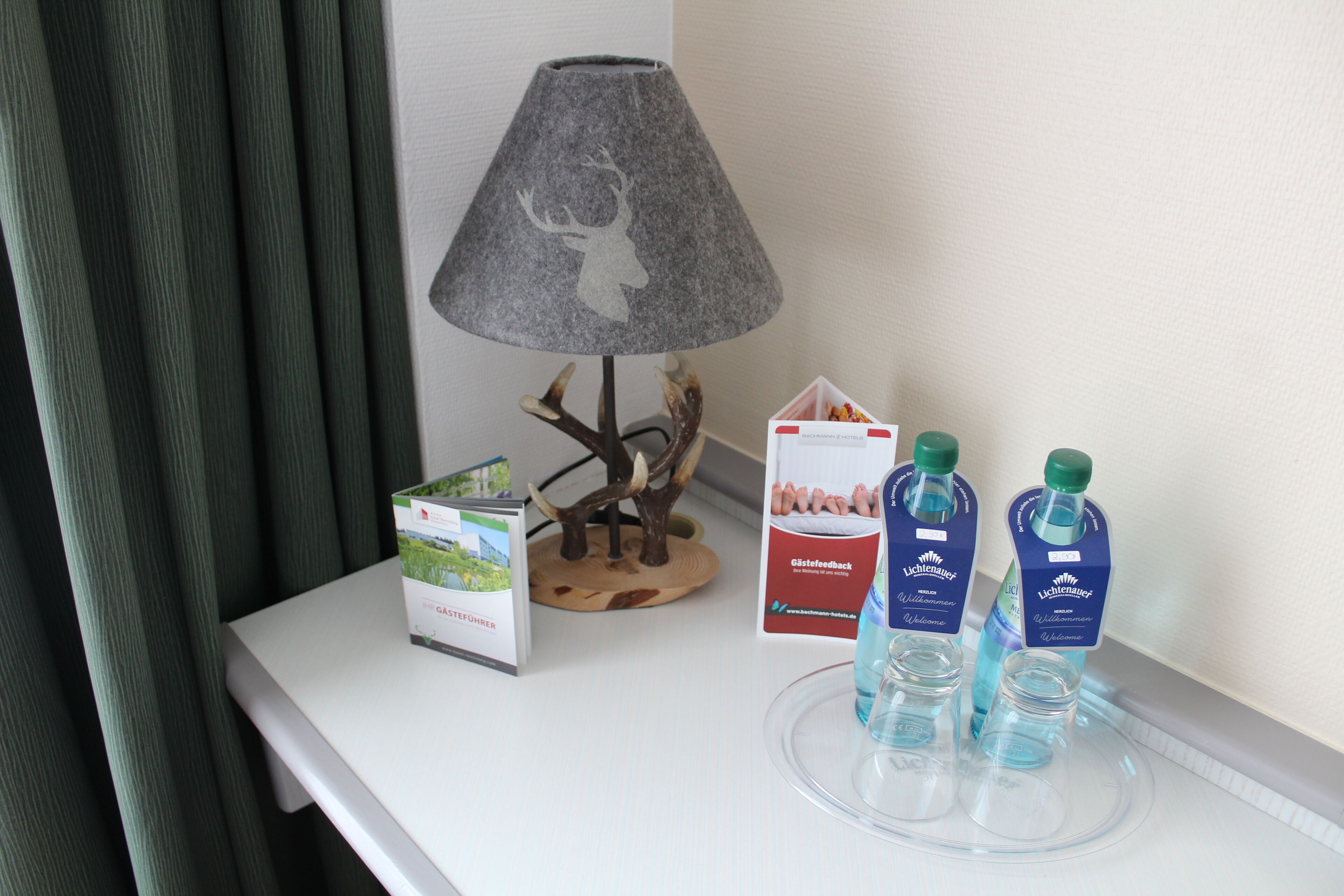 A table with a lamp, a brochure, a decorative tree, and two bottles of water.