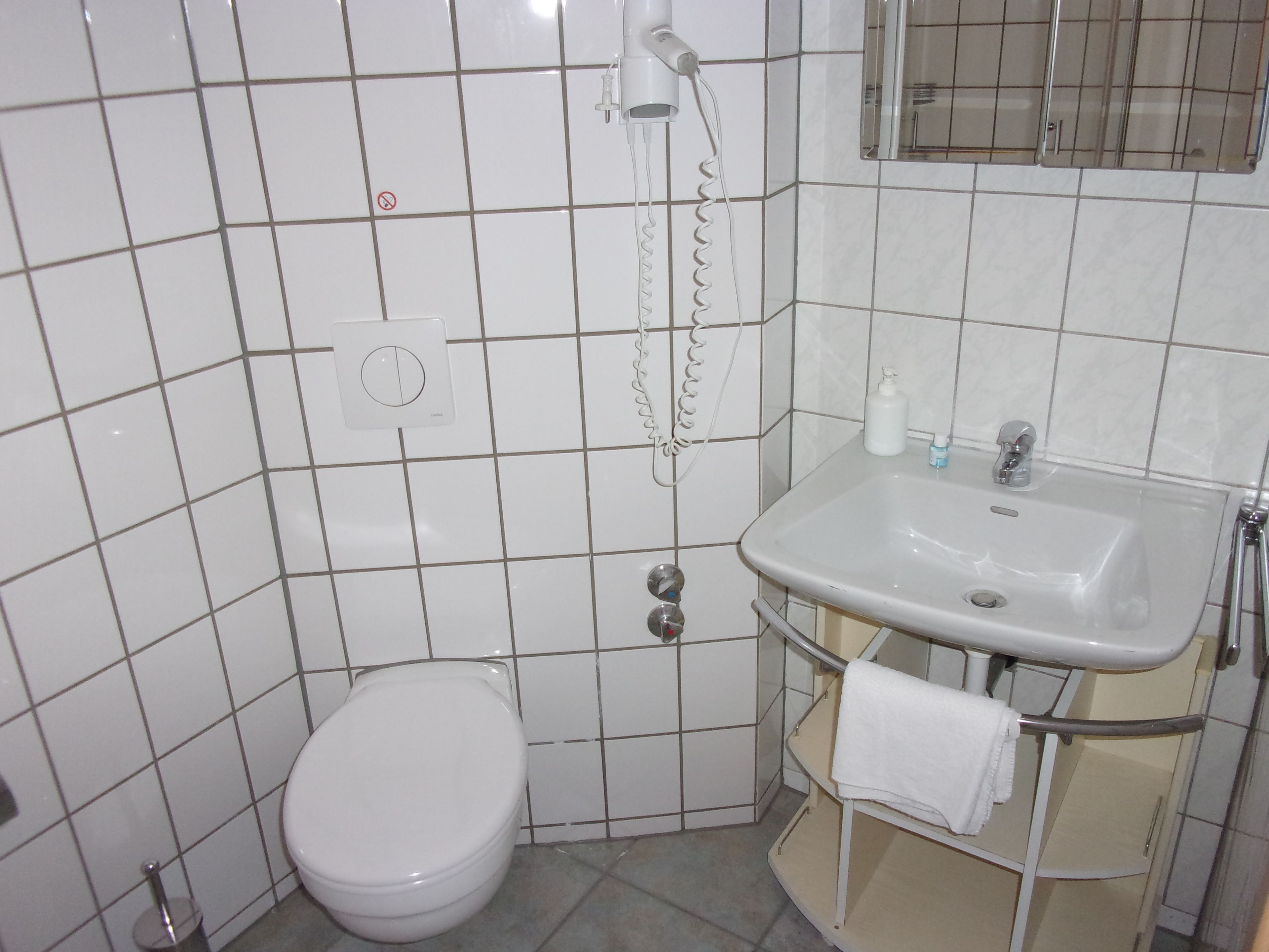 Un baño con inodoro, lavamanos y ducha.