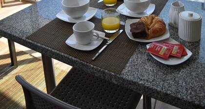 Lastarria Hotel & Aparts