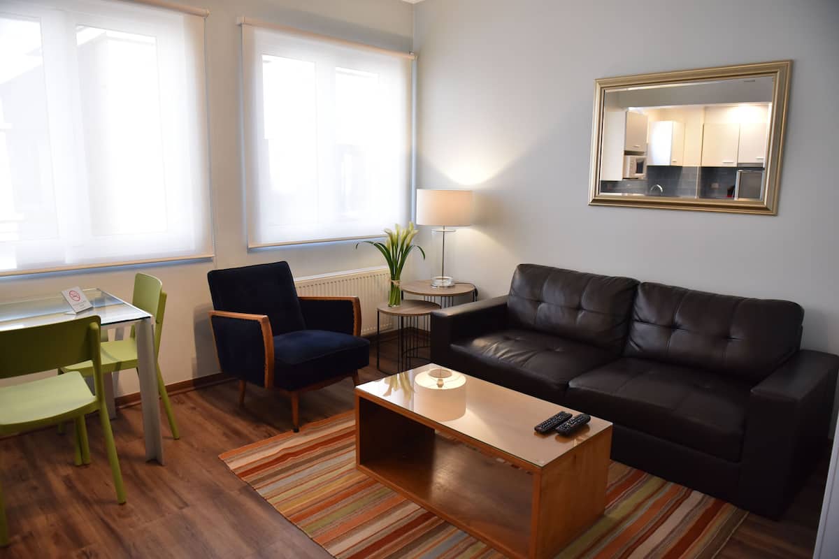 Una sala de estar con un sofá de cuero negro, una mesa de centro de madera, una silla verde, una mesita redonda con una lámpara y un espejo en la pared.