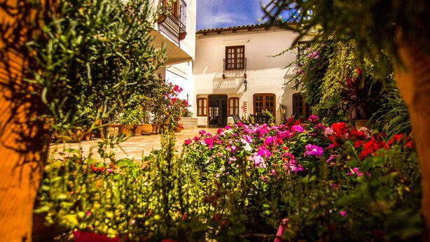 Un patio con macetas y flores, un edificio con balcón y una puerta con ventana.