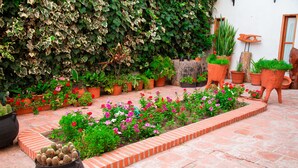 Un jardín con diferentes plantas y flores en macetas.