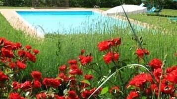 Seasonal outdoor pool, pool umbrellas, sun loungers