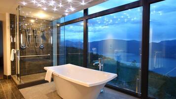 Separate tub and shower, deep soaking tub, hair dryer, bathrobes