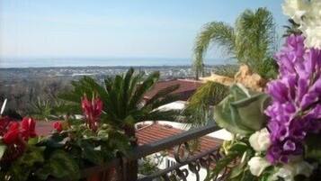 Single Room | View from room