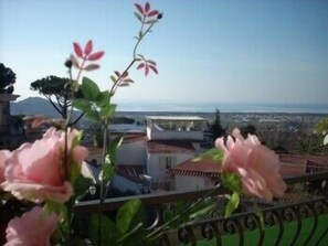Vue depuis le balcon