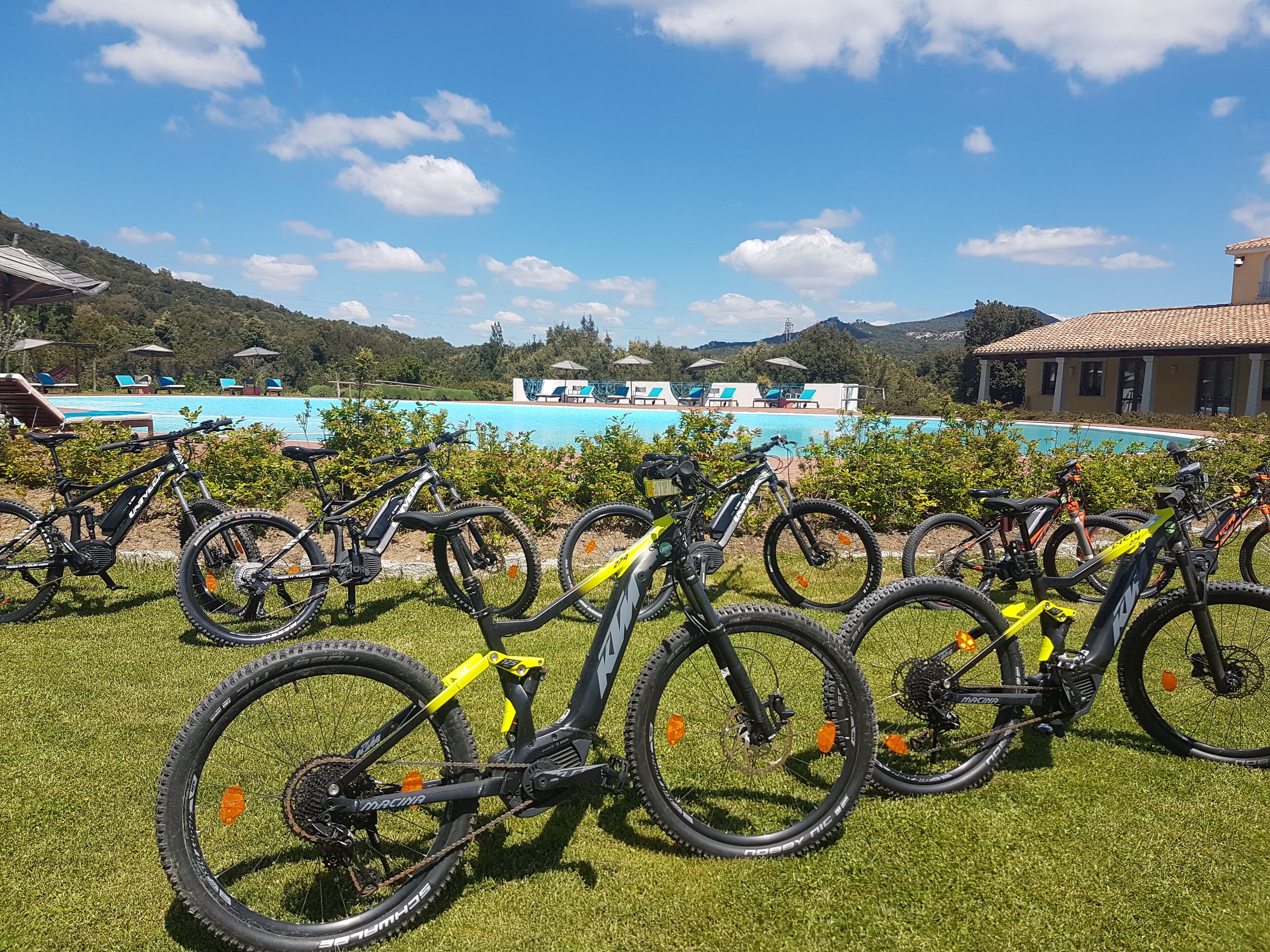 A poolside area with multiple bicycles parked on the grass.