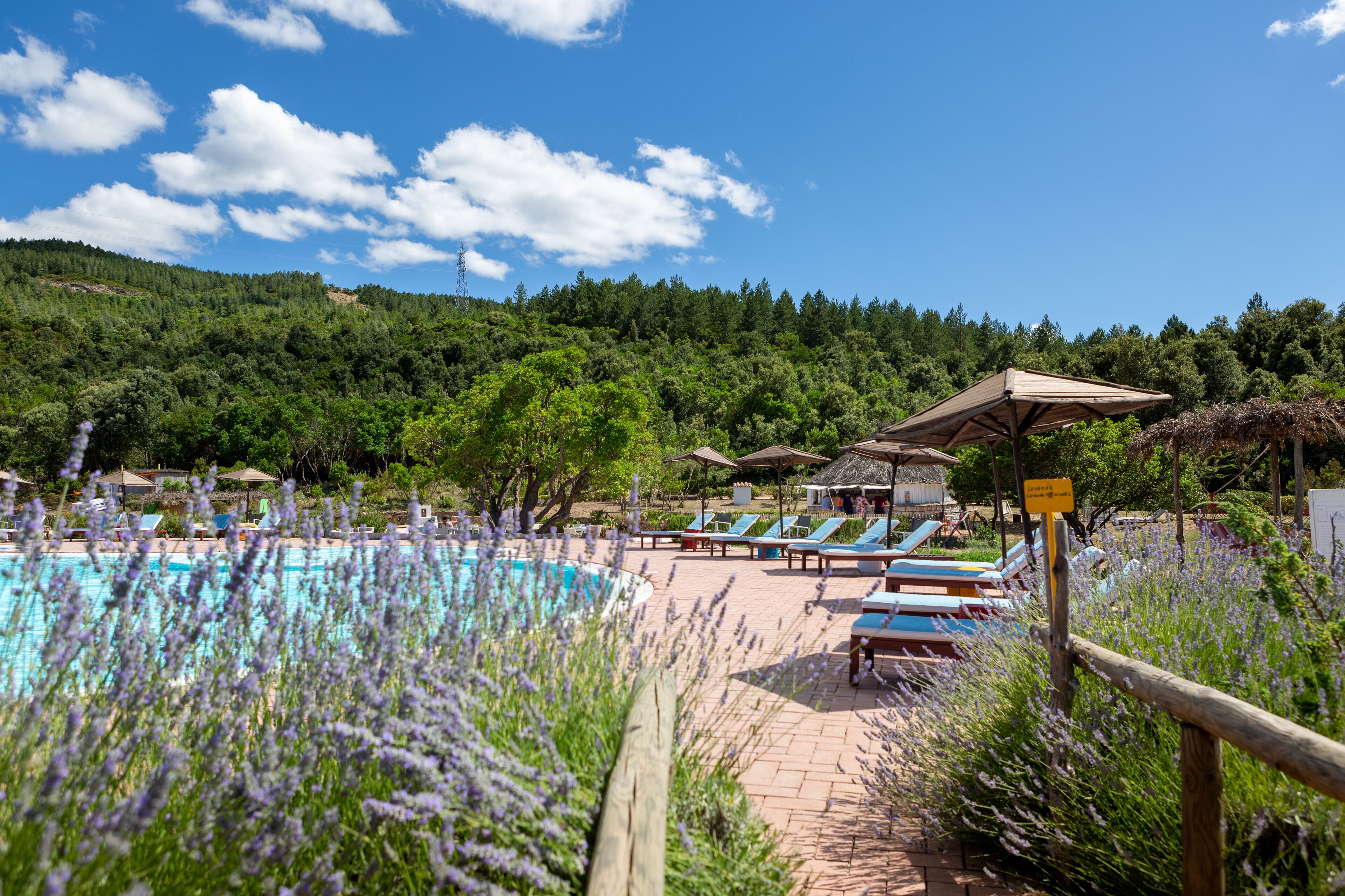 outdoor pool, pool umbrellas, pool loungers