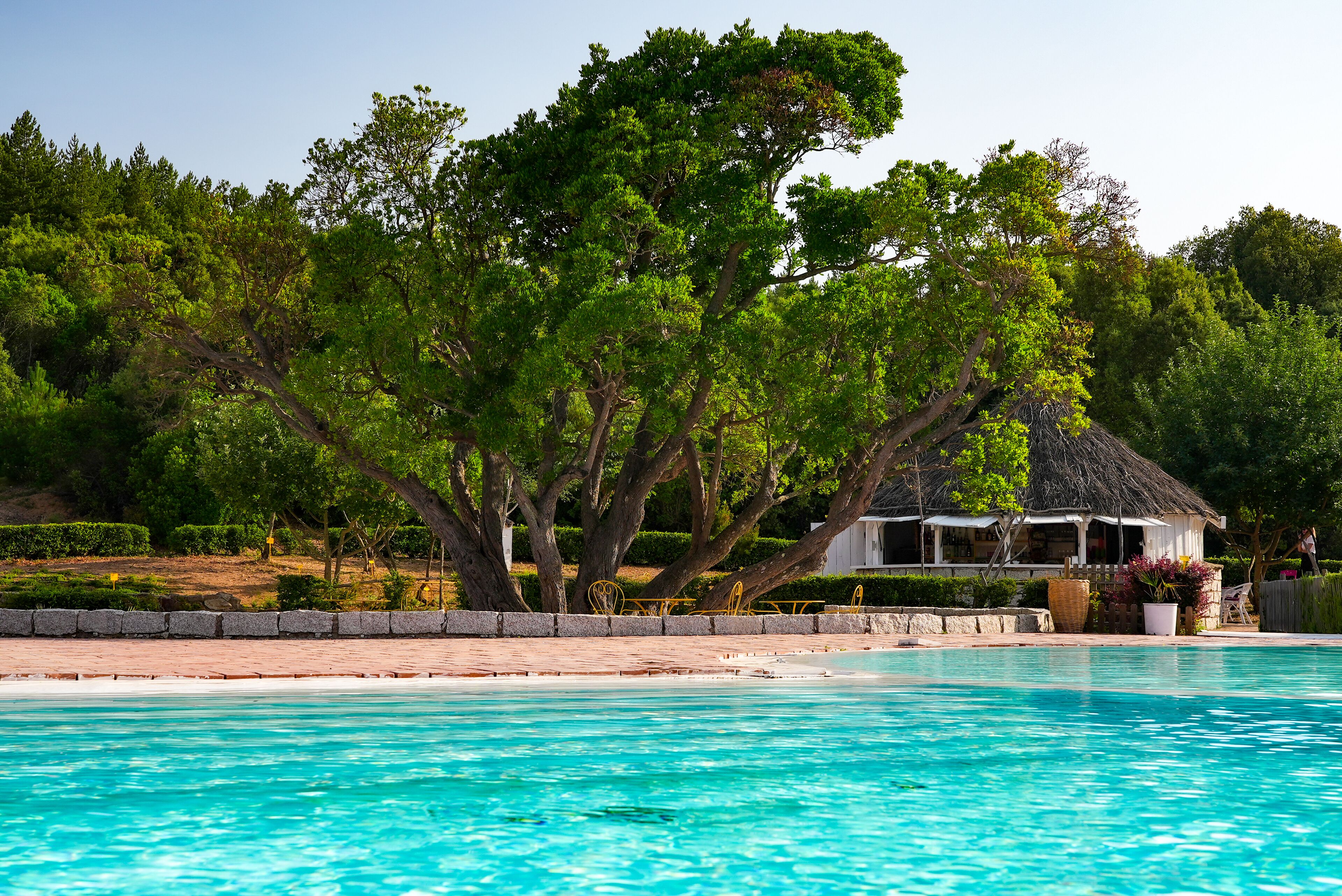 outdoor pool, pool umbrellas, pool loungers