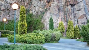 A landscaped garden with neatly trimmed hedges and a paved walkway.