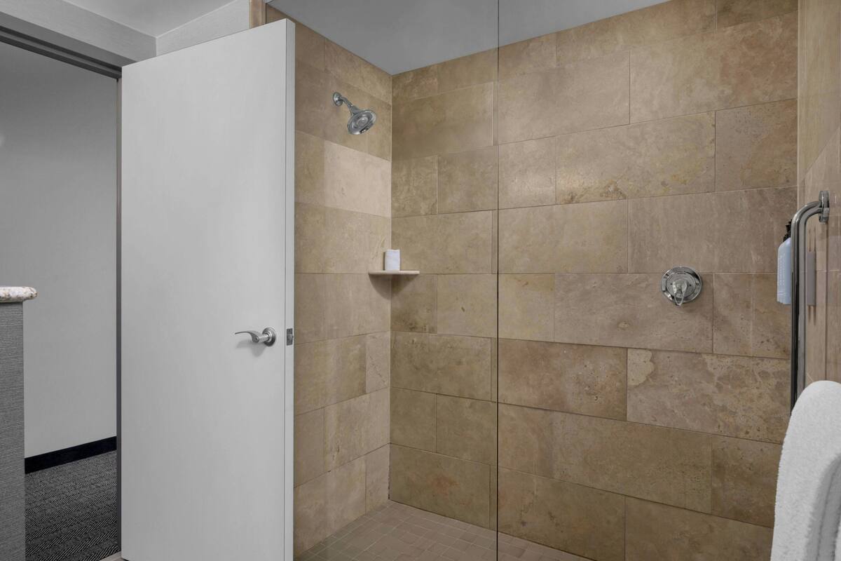 combined shower/bathtub, free toiletries, hair dryer, towels