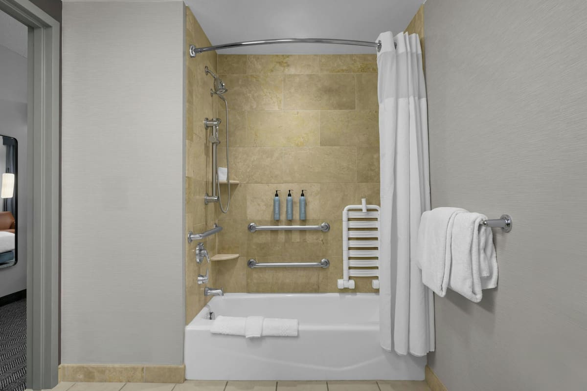 combined shower/bathtub, free toiletries, hair dryer, towels