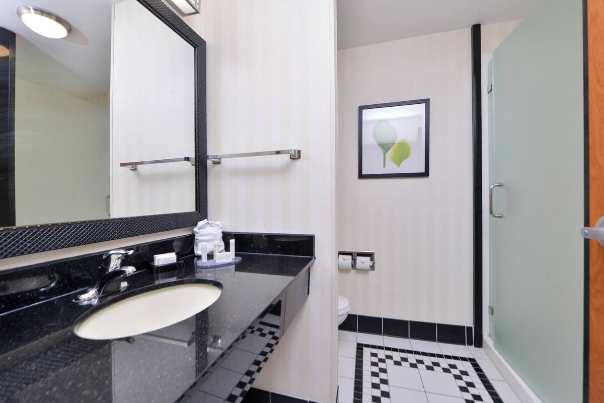 Un baño moderno con lavamanos de superficie negra, un espejo grande y una zona de ducha con piso a cuadros.