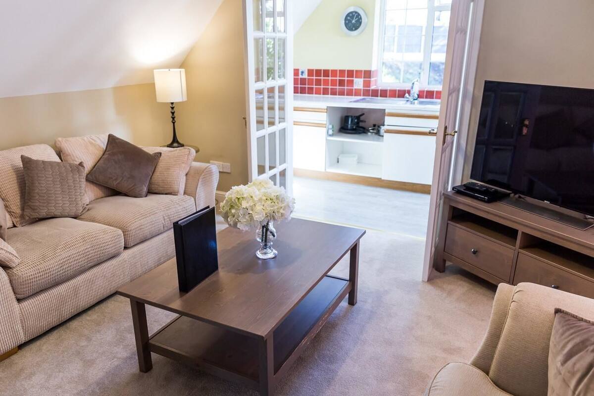 Appartement, salle de bains attenante (One Bedroom Match)