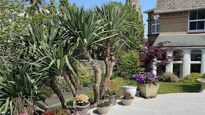 A garden with various potted plants and a pool. - The Belmont Hotel (Shanklin)