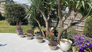 Taman