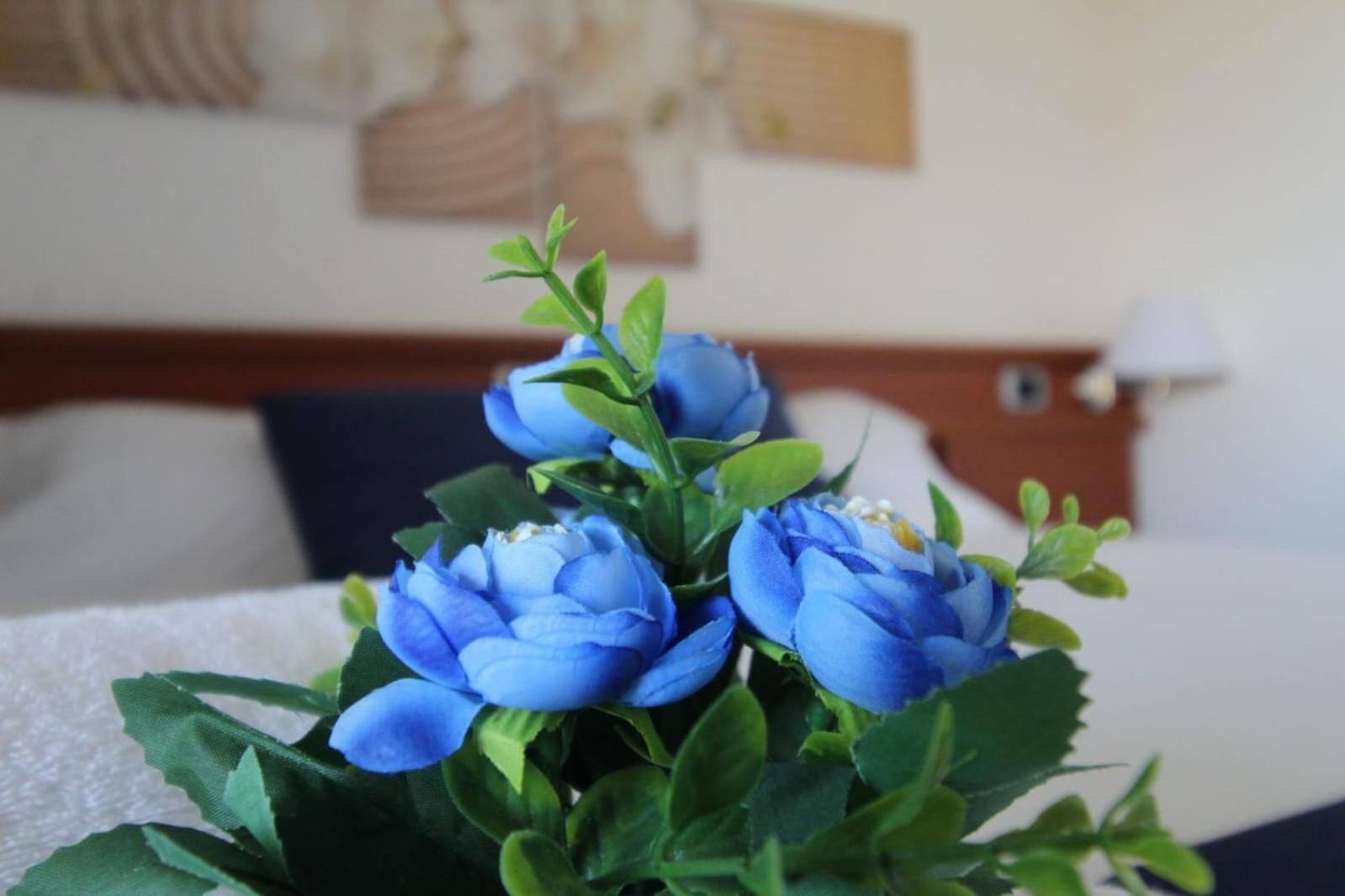 1 bedroom, frette italian sheets, premium bedding, down duvets