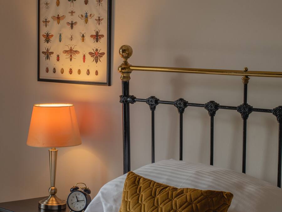A neatly made bed with a quilted pillow and a decorative pillow, a bedside table with a lamp and a clock, and a framed insect illustration on the wall.