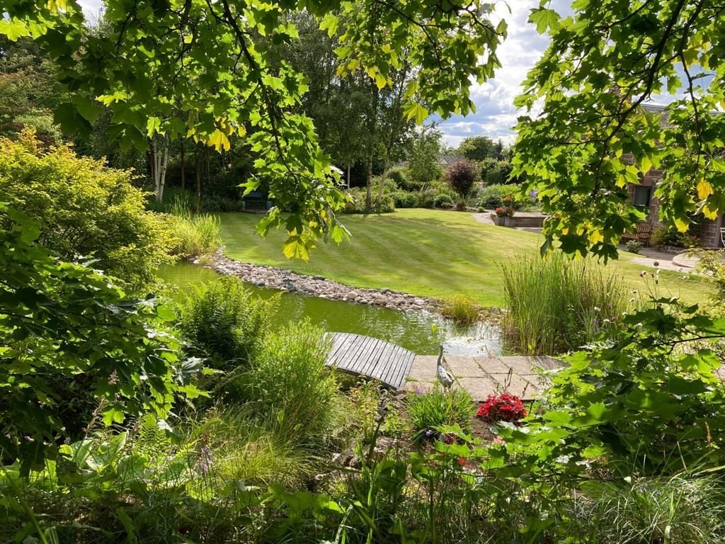Een tuin met een vijver, een houten terras en diverse planten.