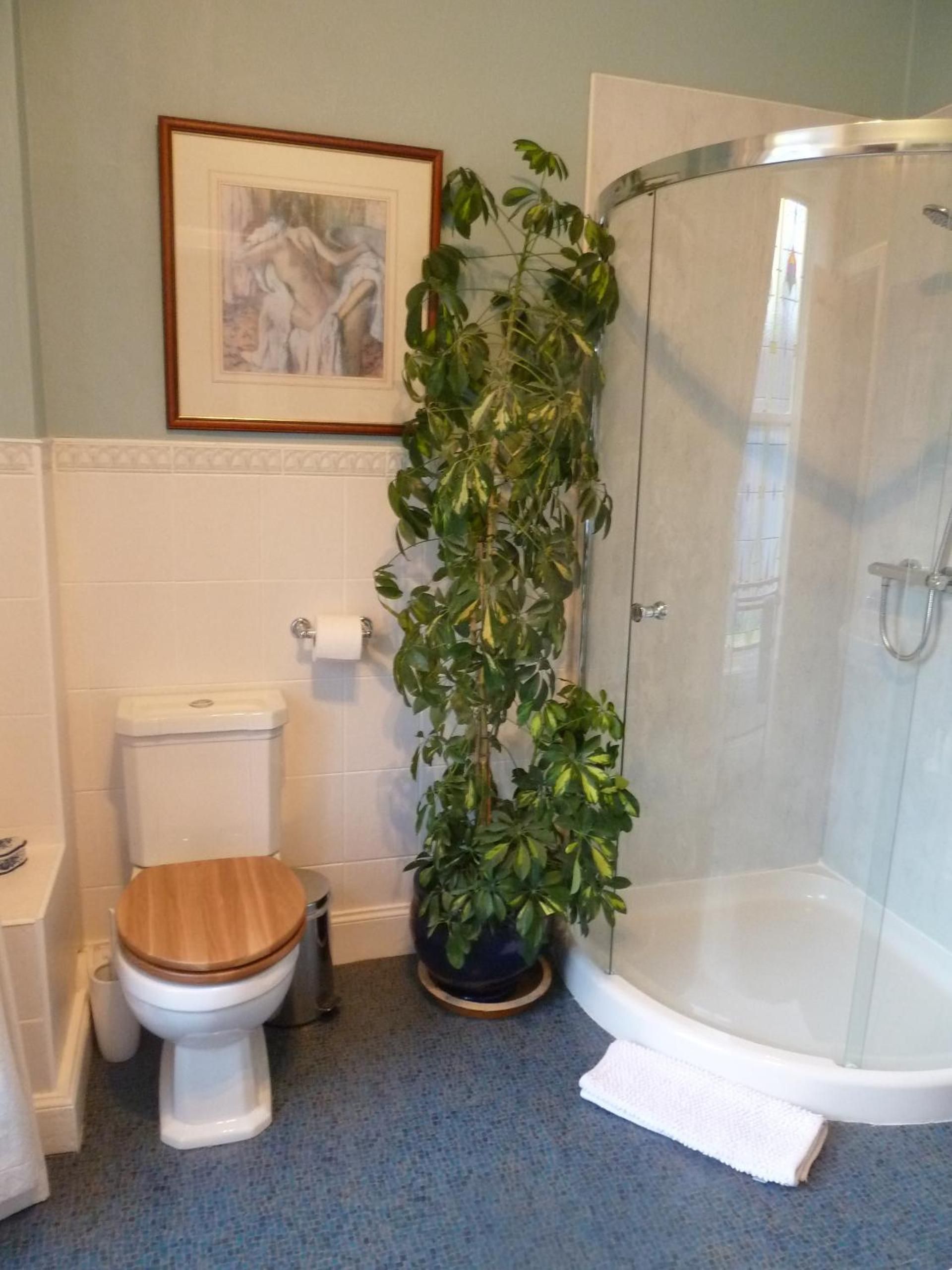 Baño con inodoro, ducha y planta en maceta.