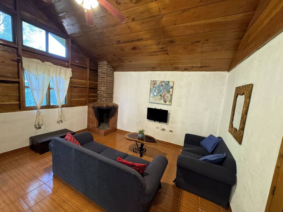 A cozy living room with a fireplace, two sofas, a TV, and a wooden ceiling.