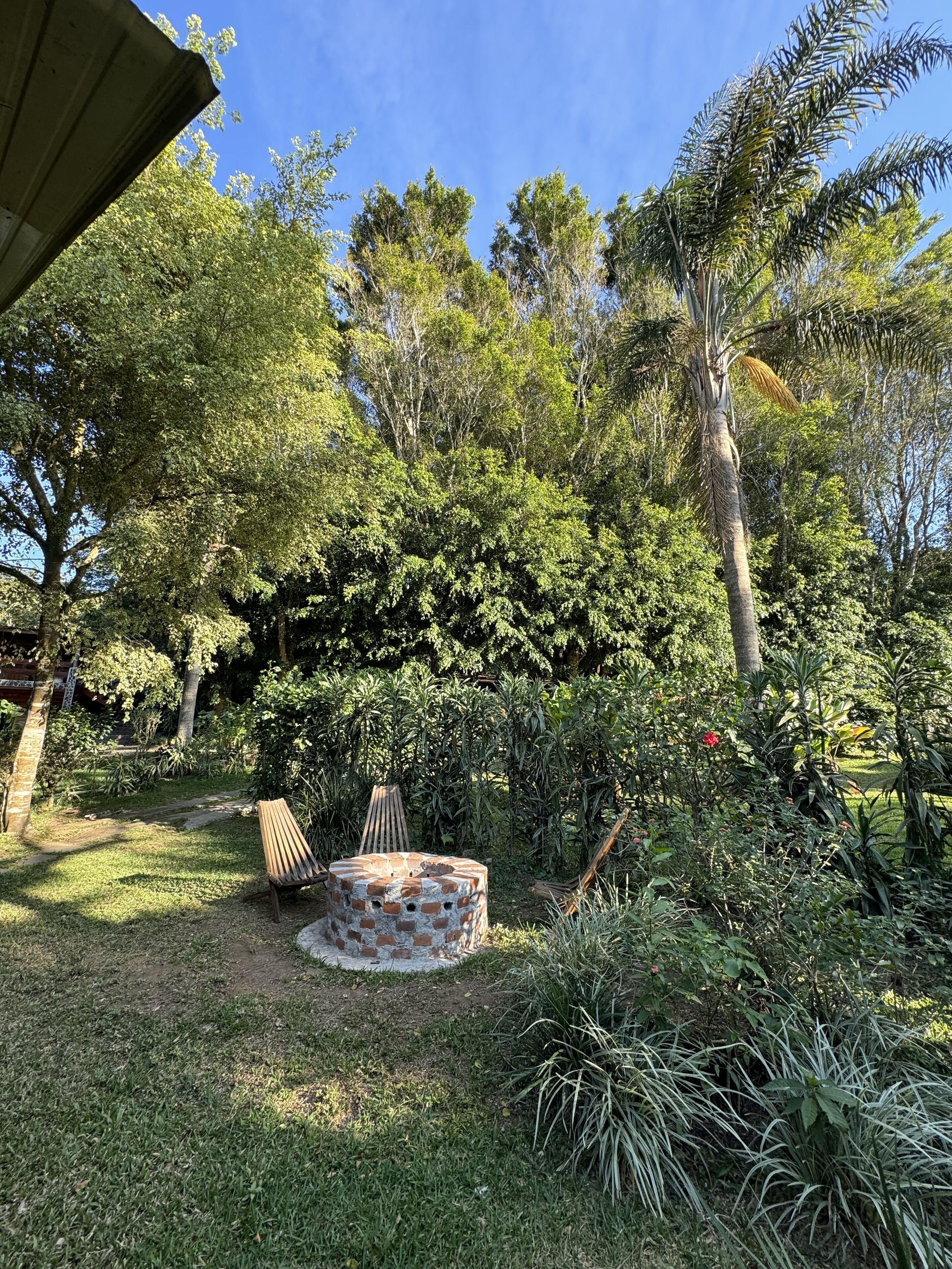 A garden with a brick fire pit, surrounded by various plants and trees.