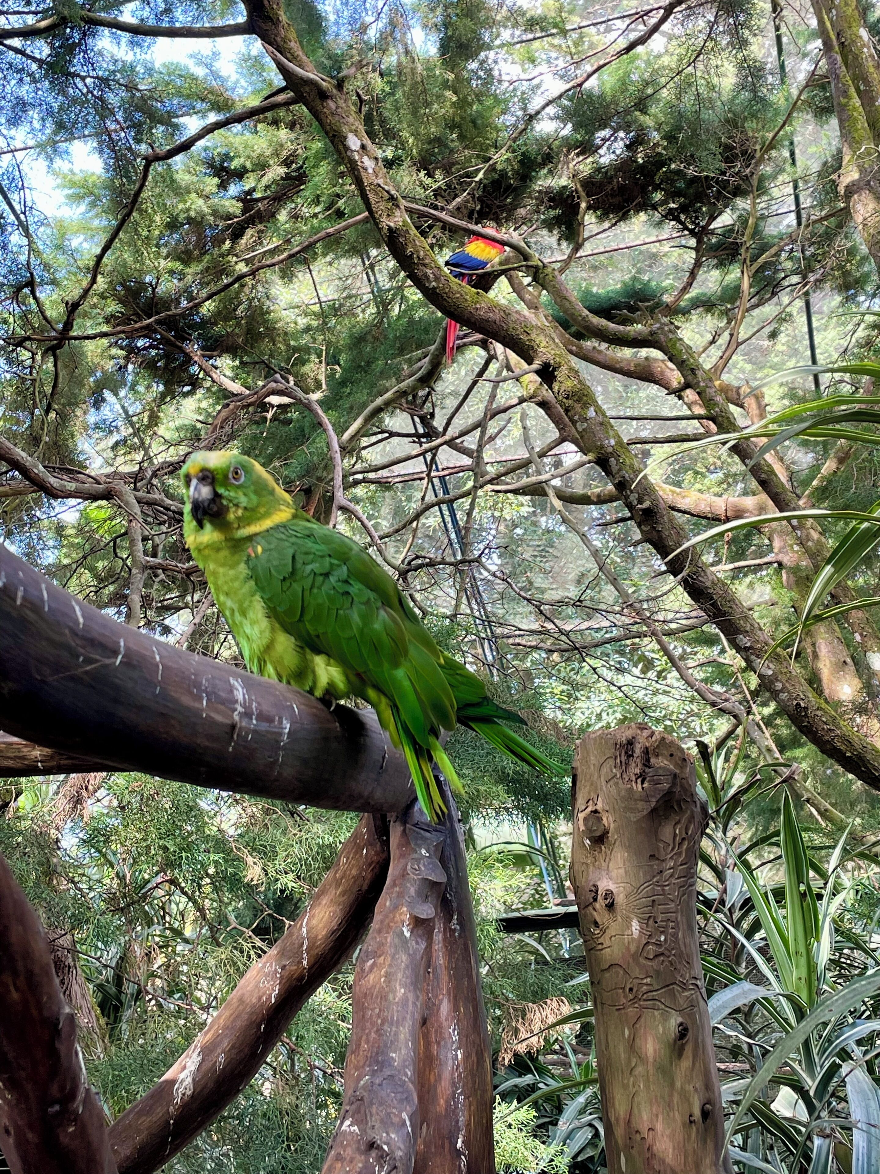 Un oiseau était perché sur une branche.