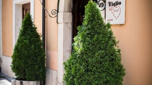 A building entrance with a metal canopy and two potted evergreen trees. - Hotel Il Tiglio (Castel di Sangro)