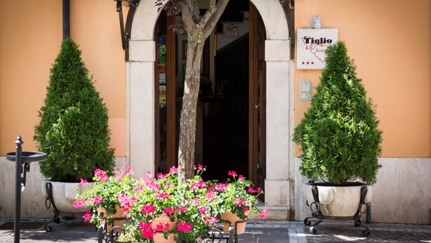 A hotel entrance with a sign reading "Tiglio hotel," two potted trees, and a flower arrangement. - Hotel Il Tiglio (Castel di Sangro)