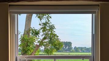 A window with a view of a tree, a field, and a body of water.