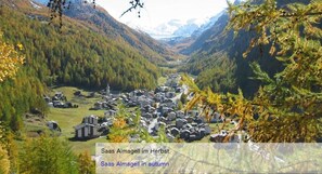 Roupas de cama antialérgicas, cofres nos quartos, cortinas blackout