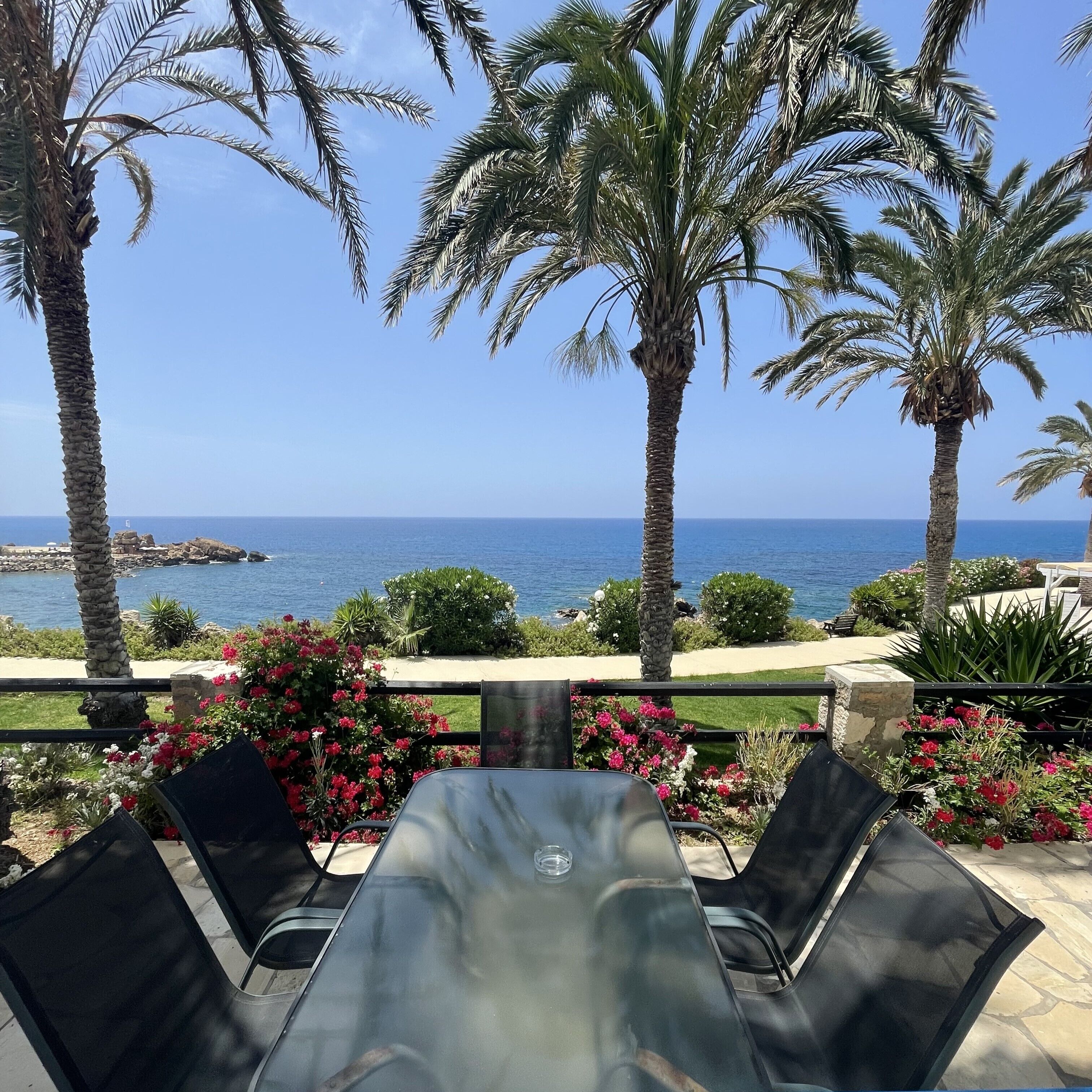 An outdoor seating area with a table and chairs, overlooking a coastal view with palm trees and a clear sky.