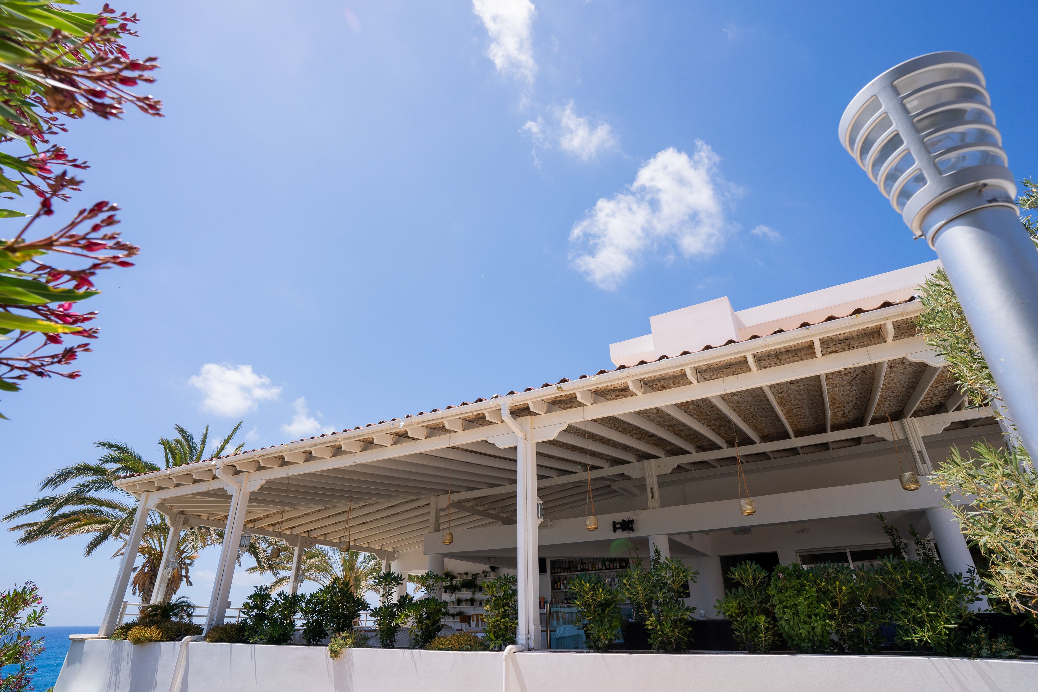 Un espace extérieur abrité, doté d’une pergola, de palmiers et d’un bâtiment à la façade blanche.