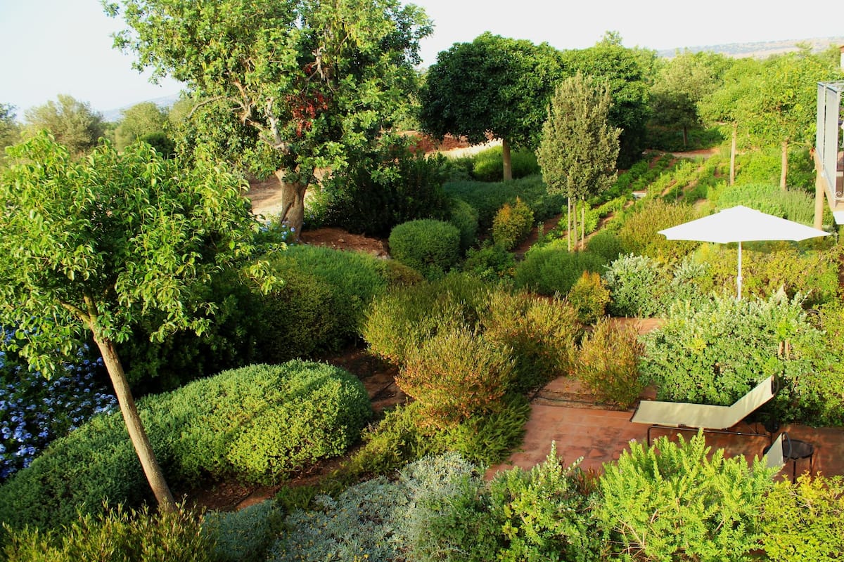 Um jardim ajardinado com arbustos e árvores diversos, um caminho pavimentado e um guarda-sol branco.