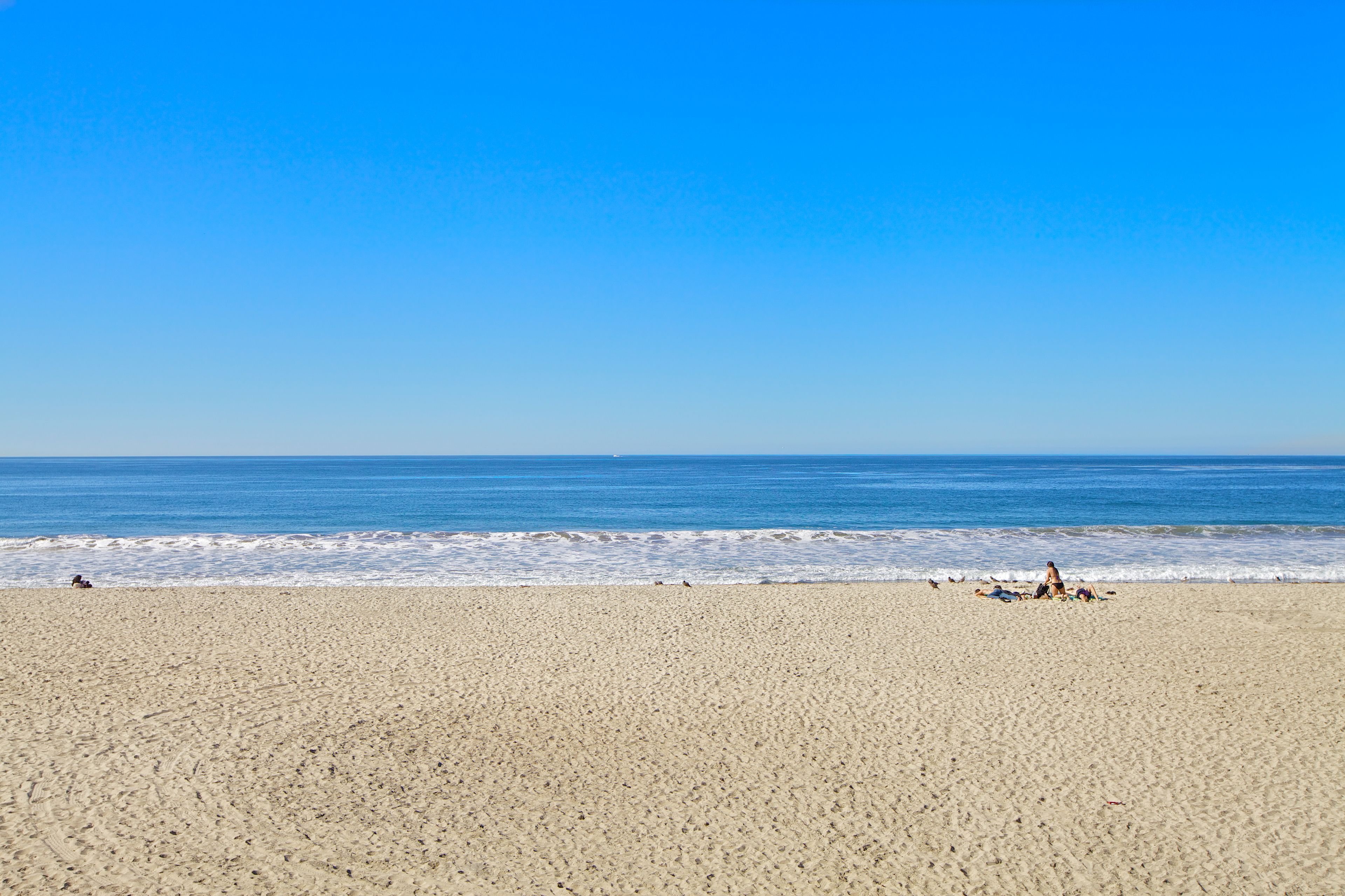 Foto - Ocean Palms Beach Resort