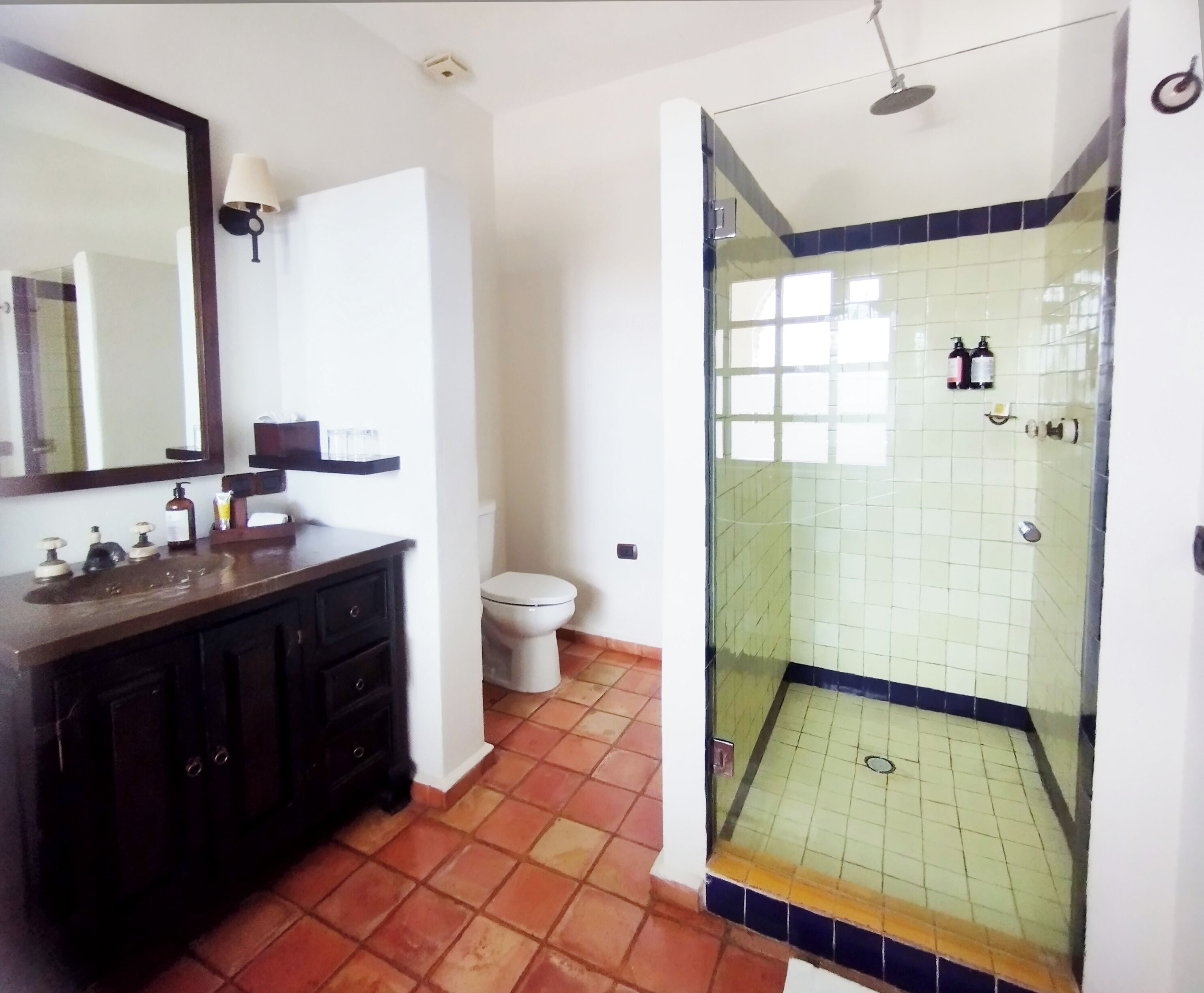A bathroom with a dark wooden vanity, a white toilet, and a glass-enclosed shower.