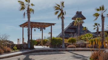 3 restaurants; breakfast, lunch, dinner and brunch served