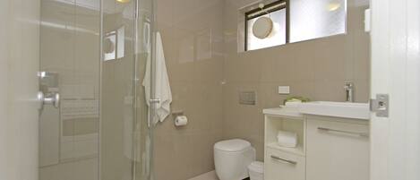 A modern bathroom with a glass shower enclosure, a toilet, and a vanity with a sink and mirror.