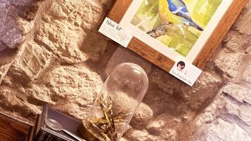 Una acuarela enmarcada de un pájaro, un terrario de vidrio con plantas, y una pila de libros sobre una pared de piedra texturizada.