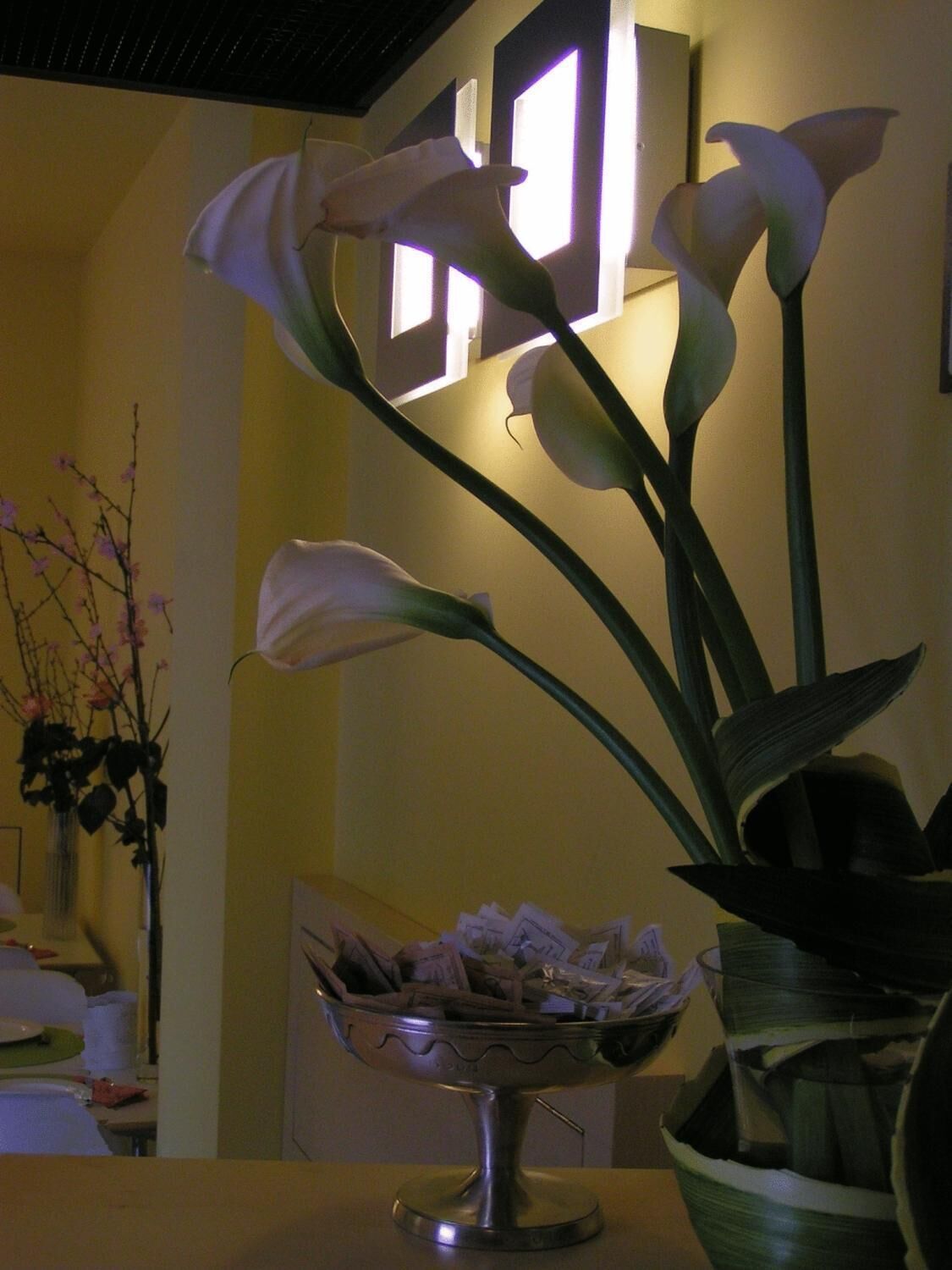 Photo - Albergo Verdi