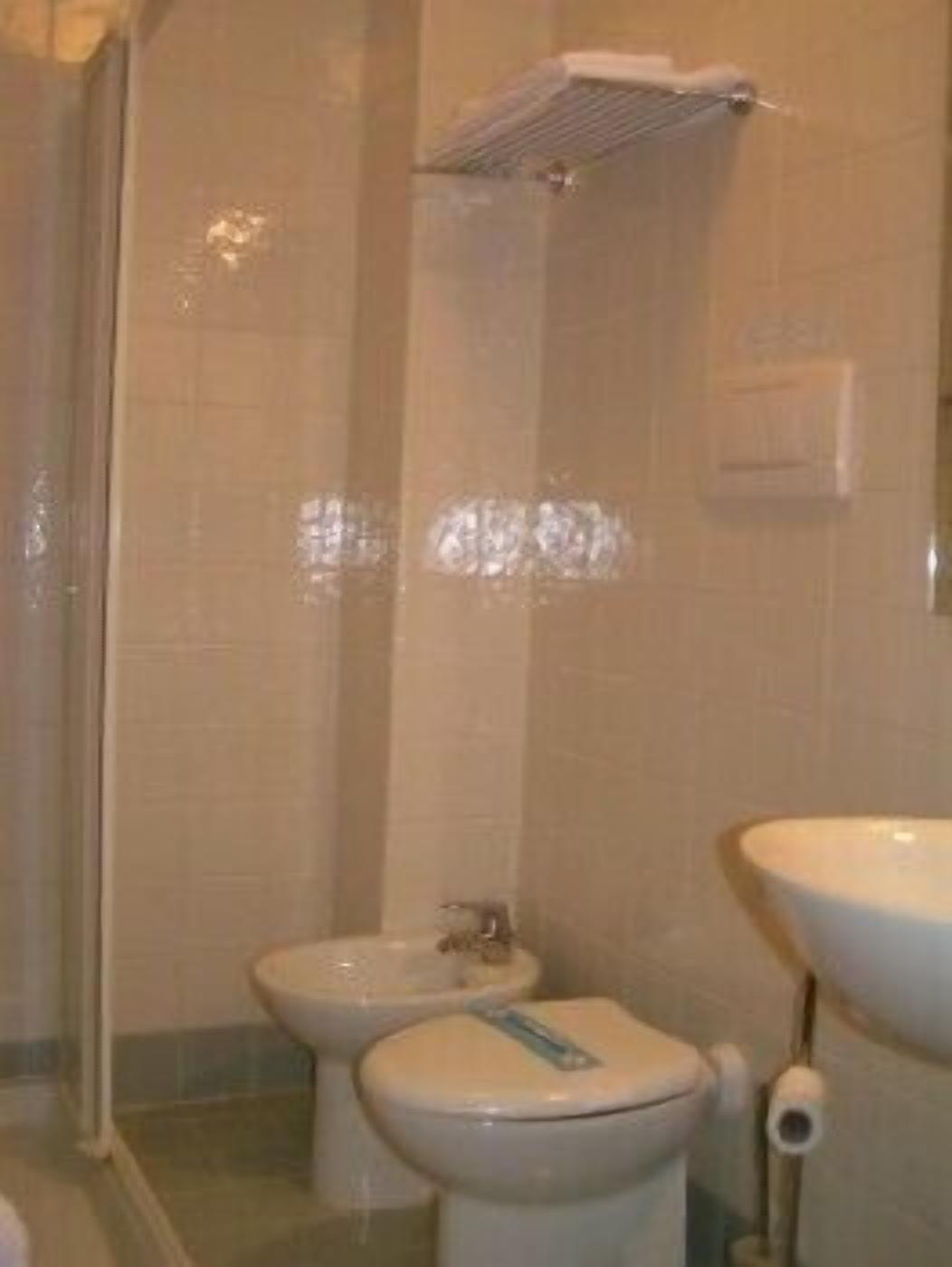 shower, free toiletries, hair dryer, bidet