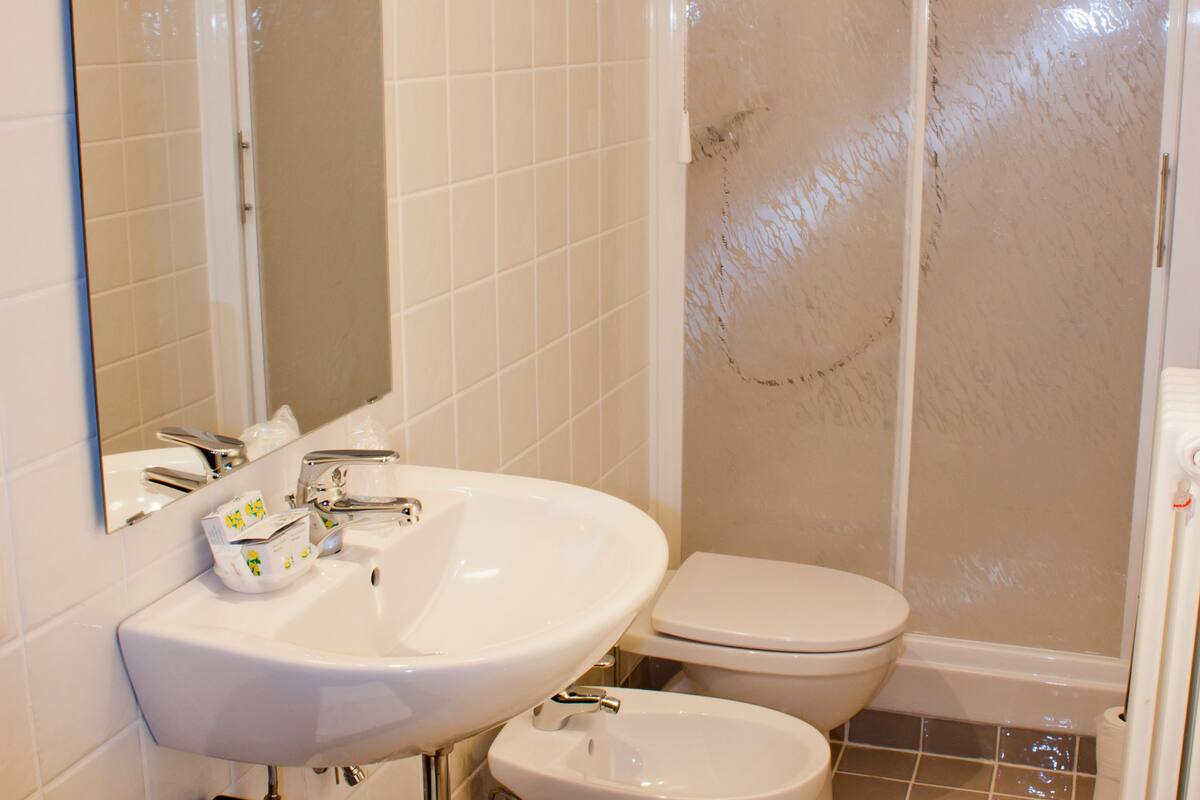 shower, free toiletries, hair dryer, bidet