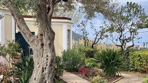 A garden with a large tree, various plants, and a paved walkway. - Villino Eleonora & Spa (Parghelia)