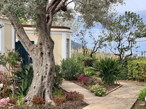 Exterior - Villino Eleonora B&B (Parghelia)