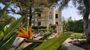 Exterior detail - Villino Eleonora B&B (Parghelia)