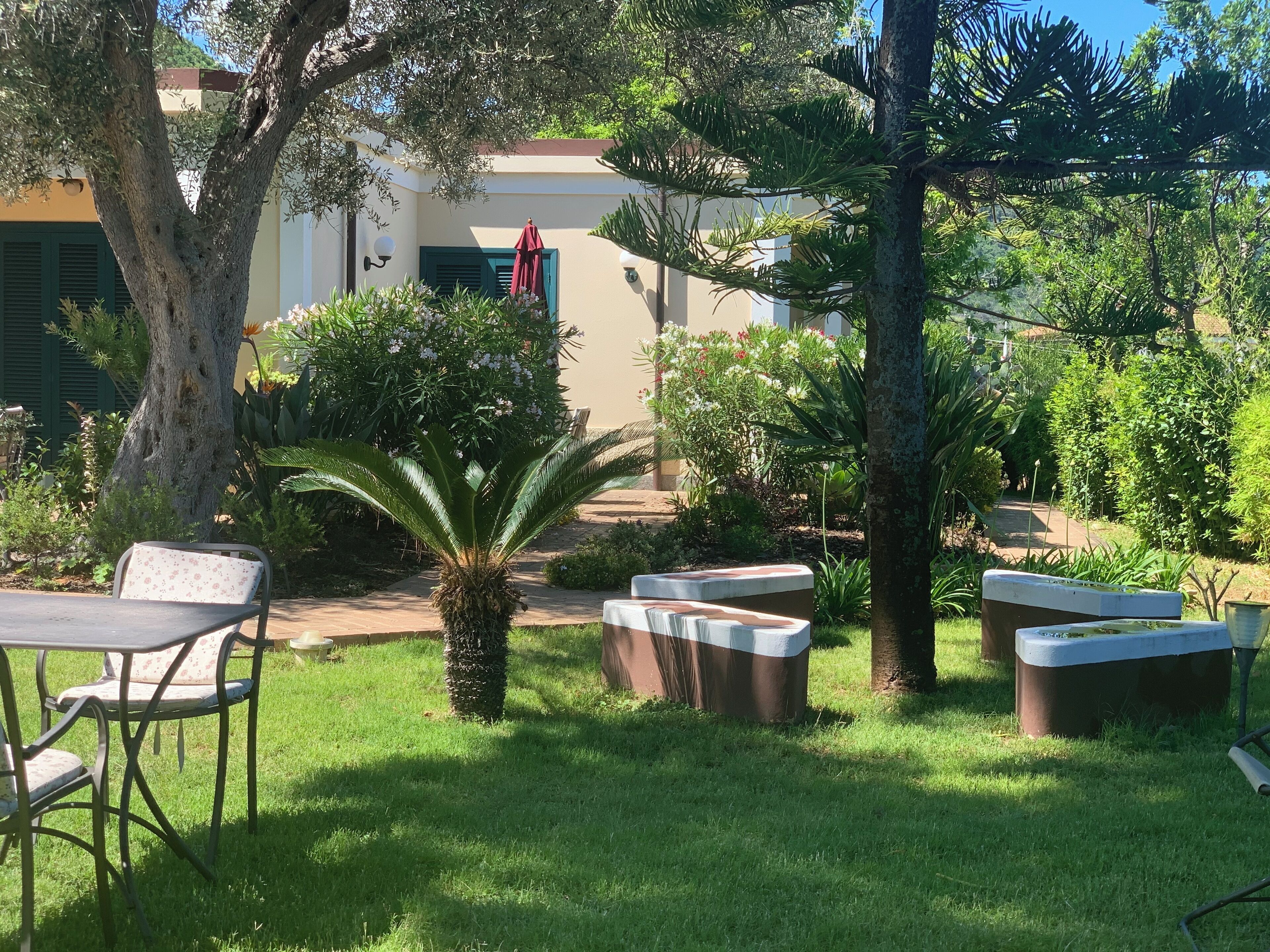 Un jardin avec un espace extérieur aménagé pour s’asseoir, un palmier et un bâtiment avec une porte rouge.