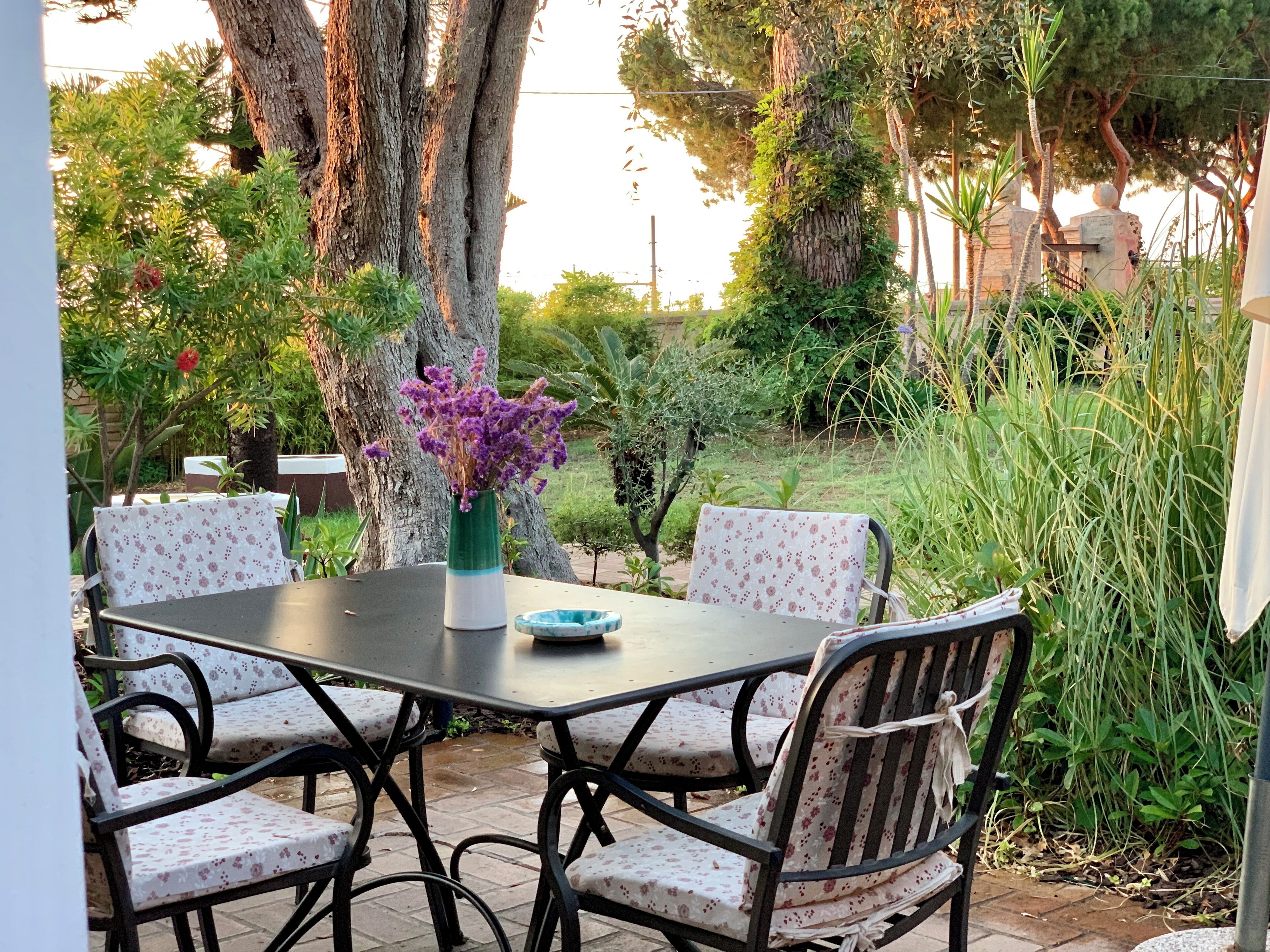 Eine Terrassengruppe mit Tisch und Stühlen, umgeben von Bäumen und Pflanzen.