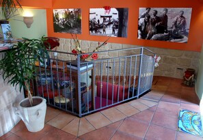 Lobby - Stenopus Greco (Santa Flavia)