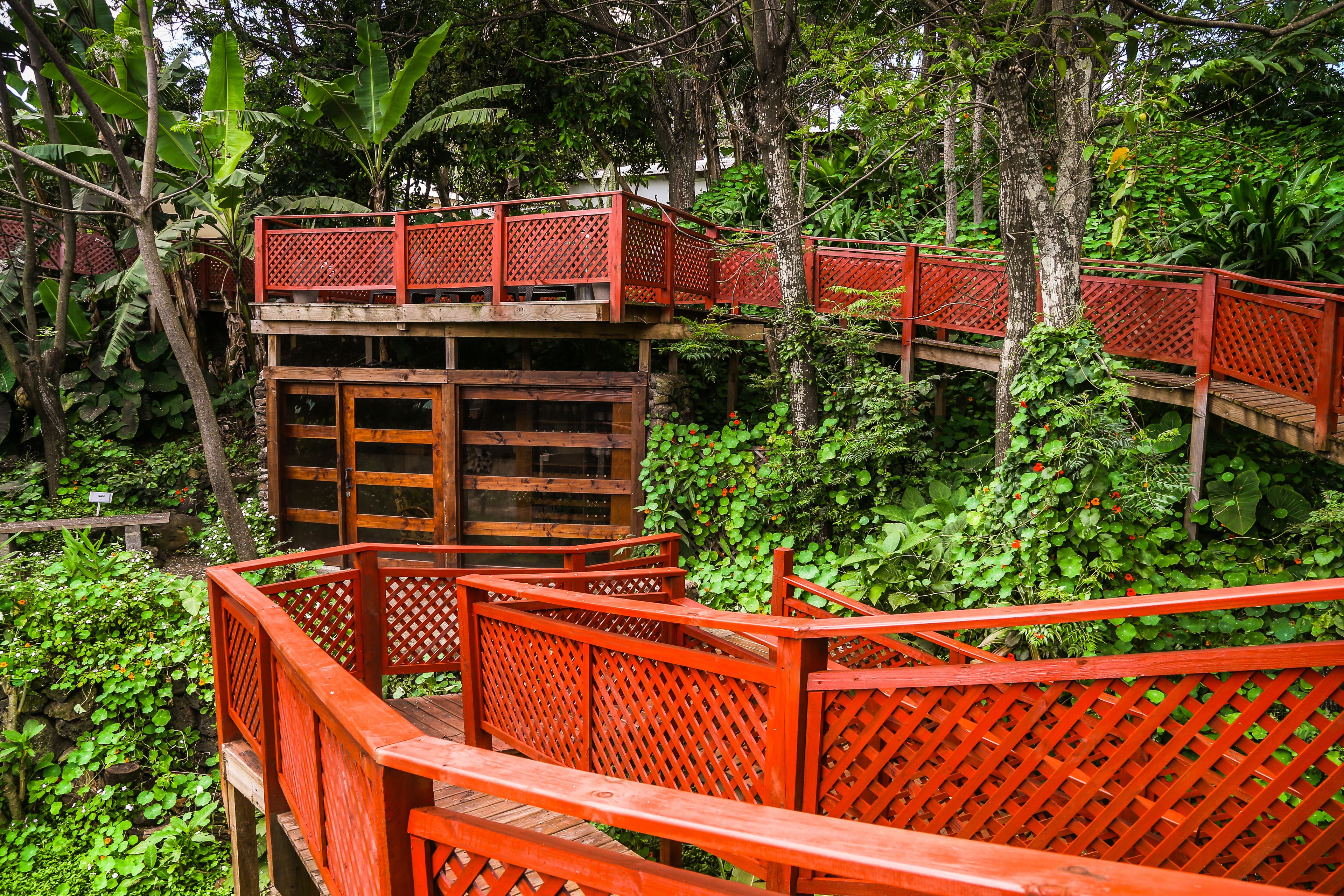 Una estructura de madera con barandilla de celosía roja, rodeada de follaje abundante.
